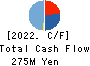 DIGITALIFT Inc. Cash Flow Statement 2022年9月期