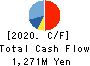 CHEMIPRO KASEI KAISHA, LTD. Cash Flow Statement 2020年3月期
