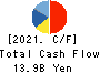 DAIHEN CORPORATION Cash Flow Statement 2021年Mar期 DAIHEN CORPORATION Cash Flow Statement 2021年3月期