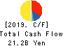 IINO KAIUN KAISHA, LTD. Cash Flow Statement 2019年3月期