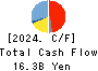 RORZE CORPORATION Cash Flow Statement 2024年Feb期 RORZE CORPORATION Cash Flow Statement 2024年2月期