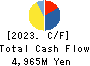 RENAISSANCE,INCORPORATED Cash Flow Statement 2023年Mar期 RENAISSANCE,INCORPORATED Cash Flow Statement 2023年3月期