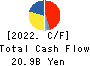 TOKYO OHKA KOGYO CO.,LTD. Cash Flow Statement 2022年12月期