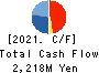 Japan System Techniques Co.,Ltd. Cash Flow Statement 2021年3月期