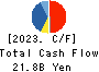 TOAGOSEI CO.,LTD. Cash Flow Statement 2023年12月期
