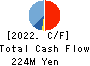 TDSE Inc. Cash Flow Statement 2022年Mar期 TDSE Inc. Cash Flow Statement 2022年3月期