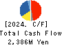 Saison Technology Co.,Ltd. Cash Flow Statement 2024年3月期