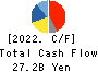 NIPPON KAYAKU CO.,LTD. Cash Flow Statement 2022年3月期