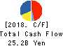 HAMAMATSU PHOTONICS K.K. Cash Flow Statement 2018年9月期