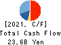 Nippon Shinyaku Co.,Ltd. Cash Flow Statement 2021年Mar期 Nippon Shinyaku Co.,Ltd. Cash Flow Statement 2021年3月期