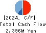 Solekia Limited Cash Flow Statement 2024年Mar期 Solekia Limited Cash Flow Statement 2024年3月期