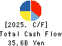 AICHI STEEL CORPORATION Cash Flow Statement 2025年3月期