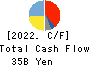 ROHTO PHARMACEUTICAL CO.,LTD. Cash Flow Statement 2022年Mar期 ROHTO PHARMACEUTICAL CO.,LTD. Cash Flow Statement 2022年3月期