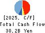 The Awa Bank, Ltd. Cash Flow Statement 2025年Mar期 The Awa Bank, Ltd. Cash Flow Statement 2025年3月期