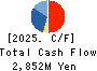 PCA CORPORATION Cash Flow Statement 2025年3月期