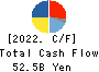 RINNAI CORPORATION Cash Flow Statement 2022年Mar期 RINNAI CORPORATION Cash Flow Statement 2022年3月期
