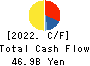YAOKO CO.,LTD. Cash Flow Statement 2022年3月期