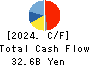 MITANI CORPORATION Cash Flow Statement 2024年3月期