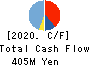 SIG Group Co.,Ltd. Cash Flow Statement 2020年Mar期 SIG Group Co.,Ltd. Cash Flow Statement 2020年3月期
