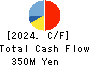 Writeup Co.,Ltd. Cash Flow Statement 2024年Mar期 Writeup Co.,Ltd. Cash Flow Statement 2024年3月期