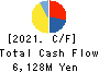 Kuribayashi Steamship Co.,Ltd. Cash Flow Statement 2021年3月期