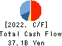 Kamigumi Co.,Ltd. Cash Flow Statement 2022年3月期