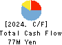 Image Information Inc. Cash Flow Statement 2024年3月期