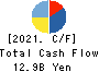 Yamatane Corporation Cash Flow Statement 2021年3月期