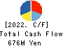 Terilogy Holdings Corporation Cash Flow Statement 2022年3月期
