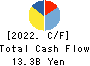 Yamatane Corporation Cash Flow Statement 2022年3月期