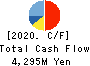 KYOWA LEATHER CLOTH CO.,LTD. Cash Flow Statement 2020年3月期