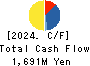 DM Solutions Co.,Ltd Cash Flow Statement 2024年Mar期 DM Solutions Co.,Ltd Cash Flow Statement 2024年3月期