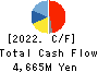 Nippon Seisen Co.,Ltd. Cash Flow Statement 2022年3月期