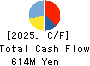 StemCell Institute Inc. Cash Flow Statement 2025年Mar期 StemCell Institute Inc. Cash Flow Statement 2025年3月期