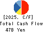 ADEKA CORPORATION Cash Flow Statement 2025年3月期