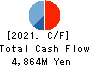 Ichiyoshi Securities Co.,Ltd. Cash Flow Statement 2021年3月期