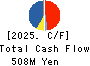 IID, Inc. Cash Flow Statement 2025年6月期