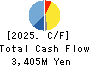 DAIDOH LIMITED Cash Flow Statement 2025年Mar期 DAIDOH LIMITED Cash Flow Statement 2025年3月期