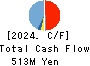 EBRAINS,INC. Cash Flow Statement 2024年3月期