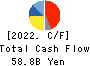 Yokogawa Electric Corporation Cash Flow Statement 2022年3月期