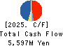 TAKE AND GIVE.NEEDS Co., Ltd. Cash Flow Statement 2025年Mar期 TAKE AND GIVE.NEEDS Co., Ltd. Cash Flow Statement 2025年3月期