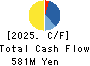 iRidge,Inc. Cash Flow Statement 2025年Mar期 iRidge,Inc. Cash Flow Statement 2025年3月期