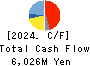 MATSUOKA CORPORATION Cash Flow Statement 2024年3月期