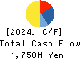 TOIN CORPORATION Cash Flow Statement 2024年Mar期 TOIN CORPORATION Cash Flow Statement 2024年3月期