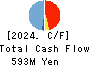 AXIS CO.,LTD. Cash Flow Statement 2024年Dec期 AXIS CO.,LTD. Cash Flow Statement 2024年12月期
