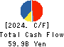 Nojima Corporation Cash Flow Statement 2024年3月期