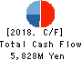 KANEMATSU ELECTRONICS LTD. Cash Flow Statement 2018年Mar期 KANEMATSU ELECTRONICS LTD. Cash Flow Statement 2018年3月期