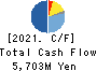 Arisawa Mfg. co.,Ltd. Cash Flow Statement 2021年3月期