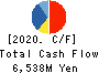 KANEMATSU ELECTRONICS LTD. Cash Flow Statement 2020年3月期