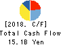 Nippon Shinyaku Co.,Ltd. Cash Flow Statement 2018年Mar期 Nippon Shinyaku Co.,Ltd. Cash Flow Statement 2018年3月期